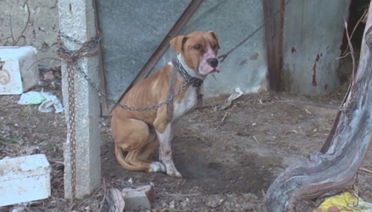 Тепърва предстои да се реши окончателнo какво ще стане с него Тепърва предстои да се реши окончателнo какво ще стане с него