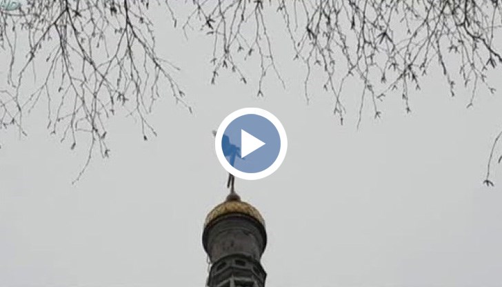 Птицата бе забелязана на купола на храм-паметника "Рождество Христово"