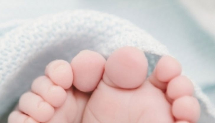 Започнало е разследване за сексуална експлоатация Започнало е разследване за сексуална експлоатация