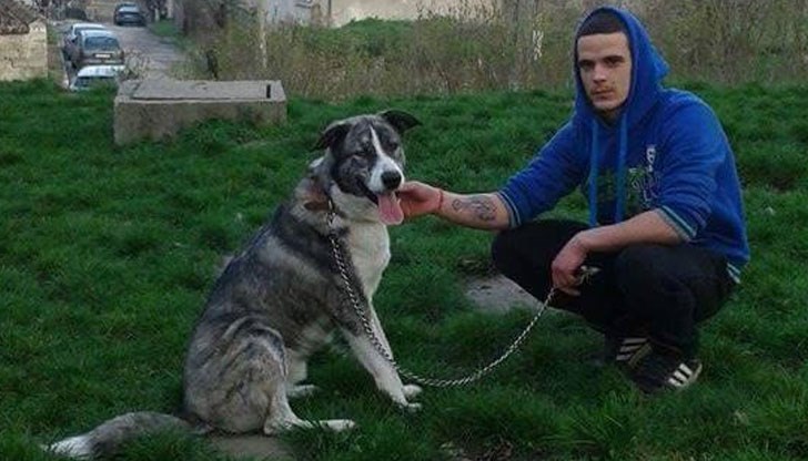 Кучето е изгубено в квартал "Долапите"