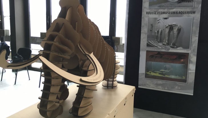 Експозиции от Екомузей с аквариум ще бъдат изложени в НДК