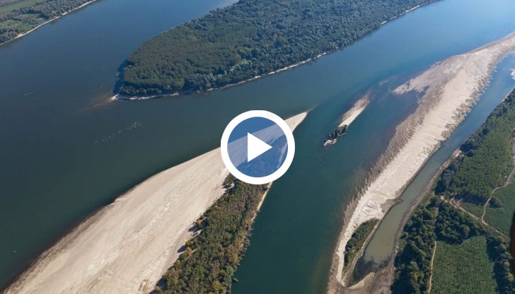 През последните 10 години WWF работи активно за възстановяване на влажните зони по Дунав
