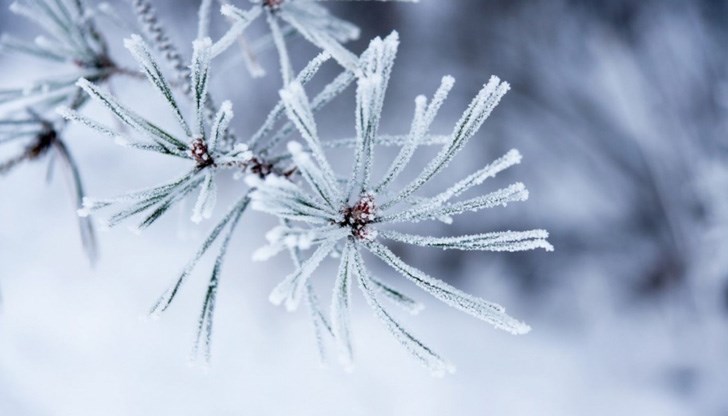 Вижте кой празнува имен ден на 3 февруари
