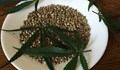 Ветрове от България носели семена канабис в Турция