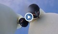 Пингвини си направиха селфи в Антарктида