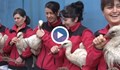 Пуснаха на свобода 13 щъркела, спасени в шуменско село