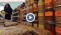 Русенските пчелари се ориентират към биопчеларство