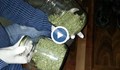 Полицаи разкриха наркооранжерия в Самоковско