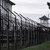 България е с най-голям ръст на затворници в Европа