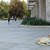 В Русе скитат най-много бездомни кучета