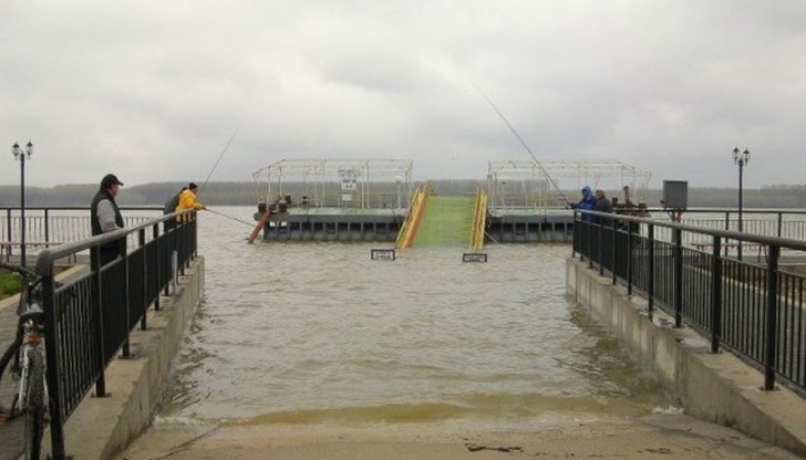 Нивото на реката се е покачило за последното денонощие с над десет сантиметра Нивото на реката се е покачило за последното денонощие с над десет сантиметра