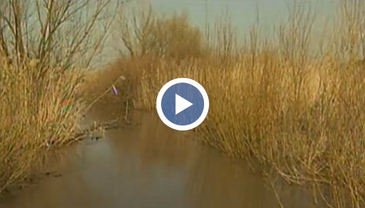 Реката удави 6 хиляди декара земеделски земи,  инсталацията за биокомпост - на стойност 2 млн. и половина лева, както и кравефермата в селото