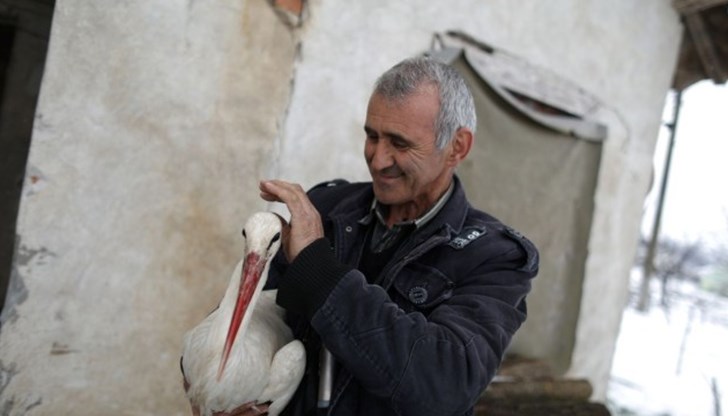 Птиците бяха спасени от студа миналата седмица Птиците бяха спасени от студа миналата седмица