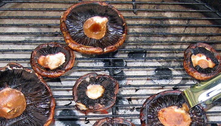 Гъбите имат антивирусни и антибактериални свойства, което ги прави идеална храна за това време на годината Гъбите имат антивирусни и антибактериални свойства, което ги прави идеална храна за това време на годината