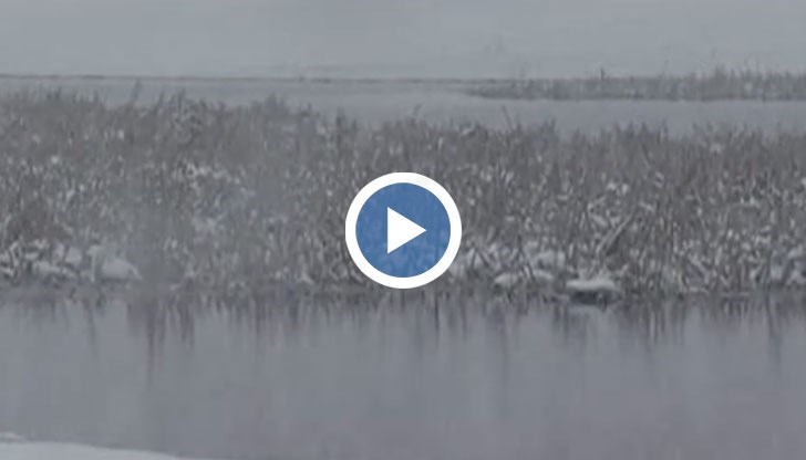 Нивото на Дунав при Русе достигна 707 сантиметра