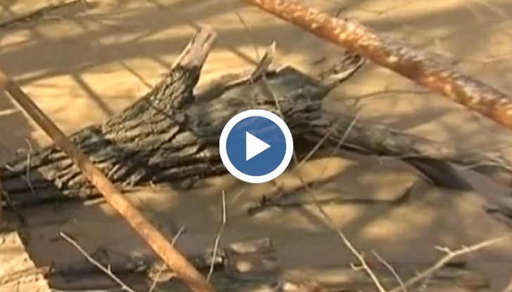 Реката излезе от коритото си