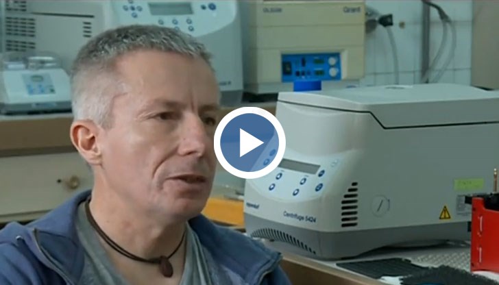 Учени от Академията на науките откриха как ключови белтъци поправят уврежданията на ДНК