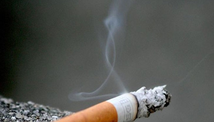 Инцидентът е станал, докато работници почиствали отпадъци Инцидентът е станал, докато работници почиствали отпадъци