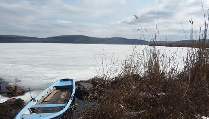 Изоставените от тях яйца са измръзнали