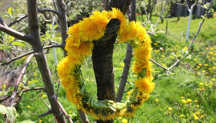 Девойка, която е лазарувала, не може да бъде похитена от змей