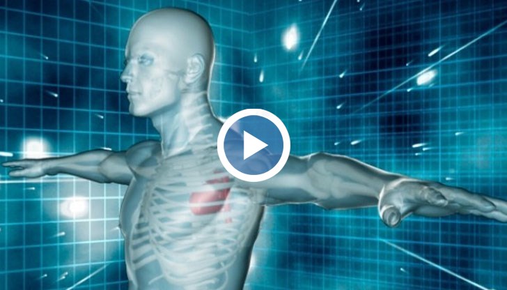 За какво служи интерстициума