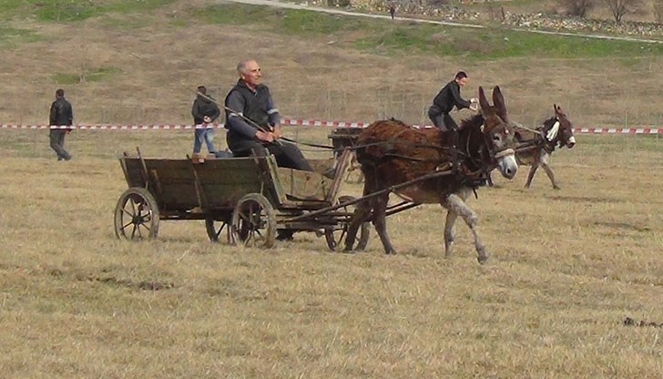 Надбягванията с магарета и коне са посветени на Тодоровден