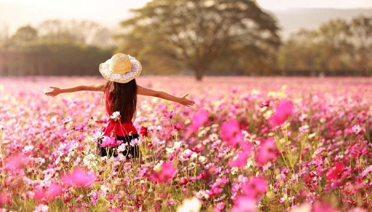 Виж месечния хороскоп за всички зодии