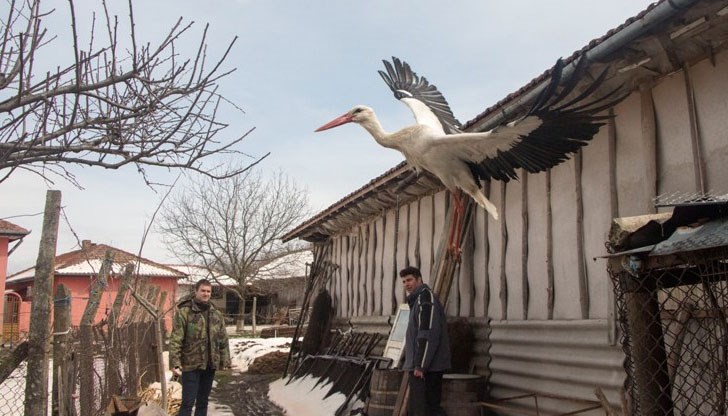 До общинските и кметовете на кметства са изпратени нови писмени указания да извършат обходи и предупредят населението