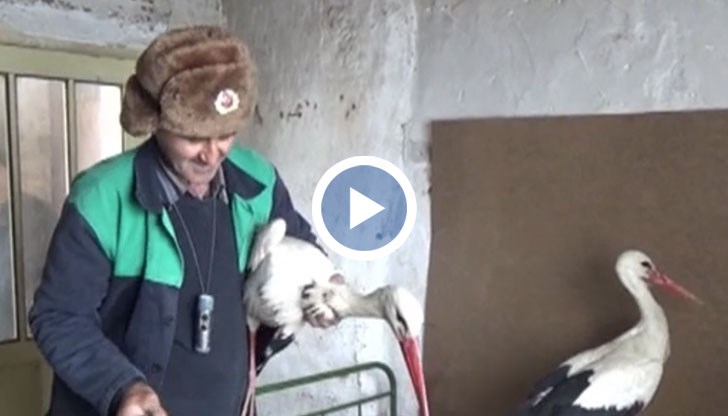 Мъжът спасява 5 птици от ледения студ