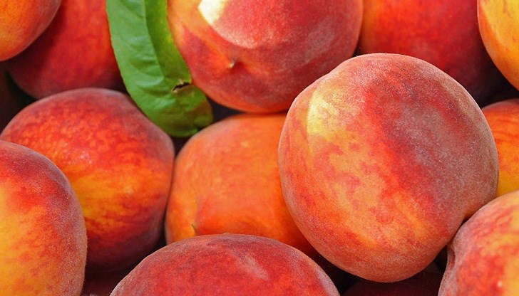 Поражението на овошките е 100% Поражението на овошките е 100%