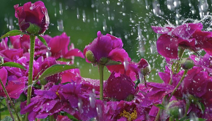 Страстната седмица ще започне с предимно слънчево време, без валежи, но на Великден ще вали Страстната седмица ще започне с предимно слънчево време, без валежи, но на Великден ще вали