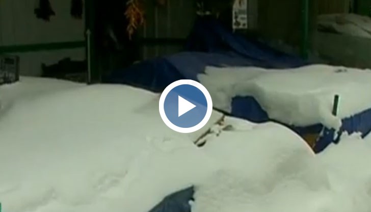 Последната седмица донесе сериозни загуби и за търговците