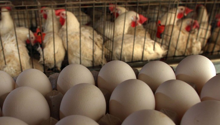 Твърдението е на Българска агенция за безопасност на храните Твърдението е на Българска агенция за безопасност на храните