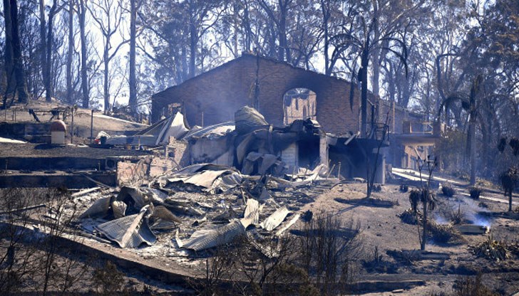 Стихията вече изпепели над 1 000 хектара