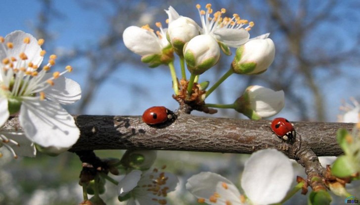 Но ще има много бурен вятър Но ще има много бурен вятър