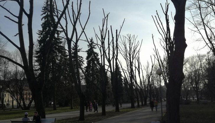 Явно на служителите от фирмата изпълнител им харесва аромата на Монтюпе