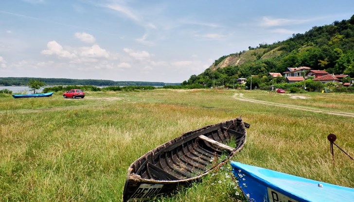 Новата защитена местност ще опазва застрашения растителен Новата защитена местност ще опазва застрашения растителен