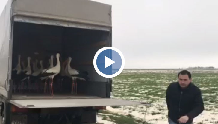 Красиво, много красиво!