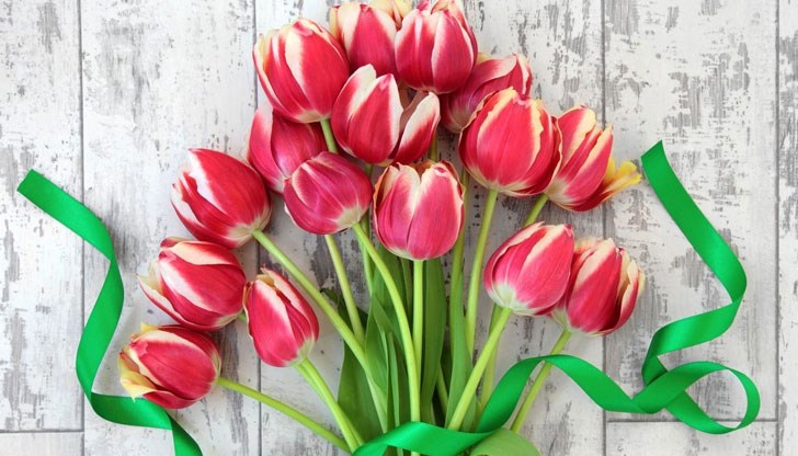 Днес отбелязваме Международния ден на жената Днес отбелязваме Международния ден на жената