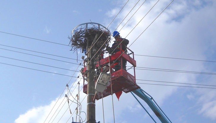 Всяка година от октомври до март Електроразпределение Север реализира проект за монтиране на платформи за щъркелови гнезда