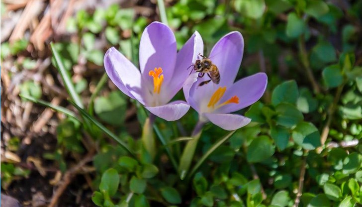 На именниците честито, да им е живо и здраво името! На именниците честито, да им е живо и здраво името!