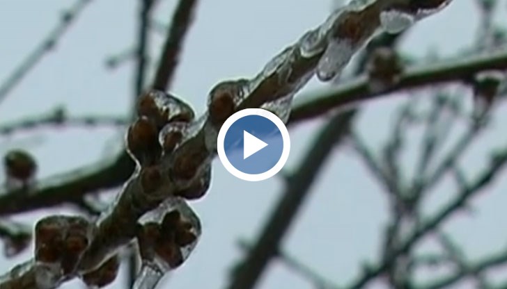 Ще ядем вносни плодове на по-високи цени