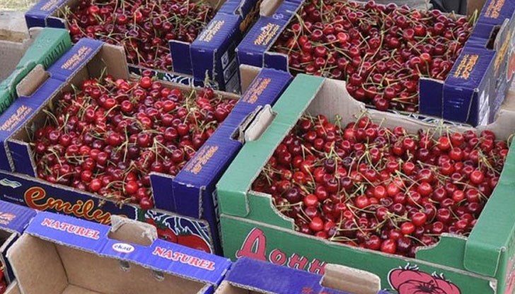 Плодовете у нас удариха рекордни цени Плодовете у нас удариха рекордни цени