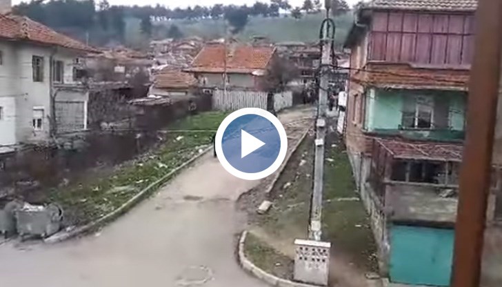 Ромска сватба подлудява хората в града, полицията е безсилна