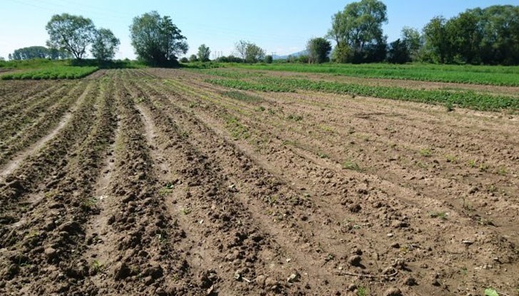 Земеделската земя у нас поскъпва почти двойно за 5 години