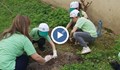 Деца засадиха дръвчета в двора на училище „Иван Вазов“