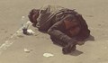 Бездомник предизвика смут край УМБАЛ "Канев"
