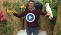Балъков поговори с папагали