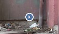 Жилища на екоминистерството притесняват русенци в блок "Явор"