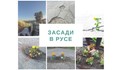 Засади в Русе
